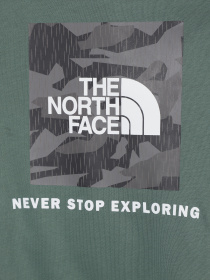 Худі The North Face Teens Box P/O модель NF0A855BO241 Фото