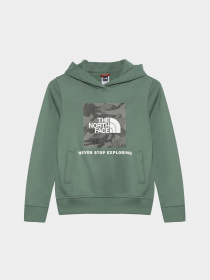 Худи The North Face Teens Box P/O модель NF0A855BO241 Фото