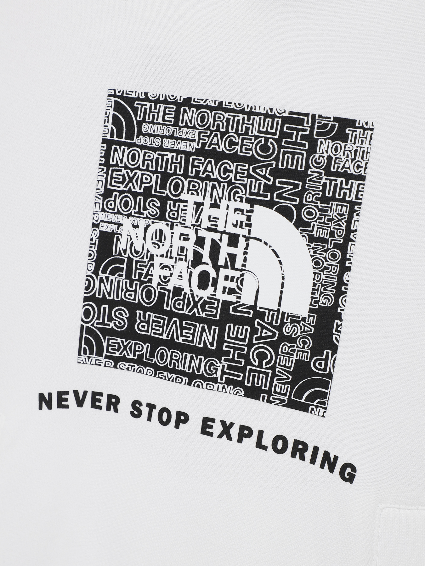 Худи The North Face Teens Box P/O модель NF0A855BLA91 Фото