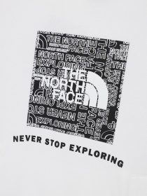 Худи The North Face Teens Box P/O модель NF0A855BLA91 Фото