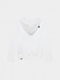 Худи The North Face Teens Box P/O модель NF0A855BLA91 Фото