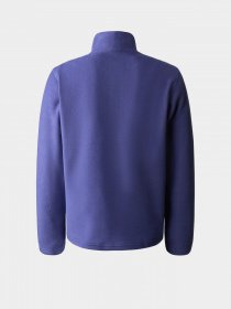 Кофта The North Face Teen Glacier Fleece 1/4 Zip модель NF0A82D1I0D1 Фото