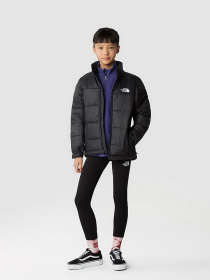 Зимняя куртка The North Face CIRCULAR SYNTHETIC модель NF0A7ZIWKX71 Фото