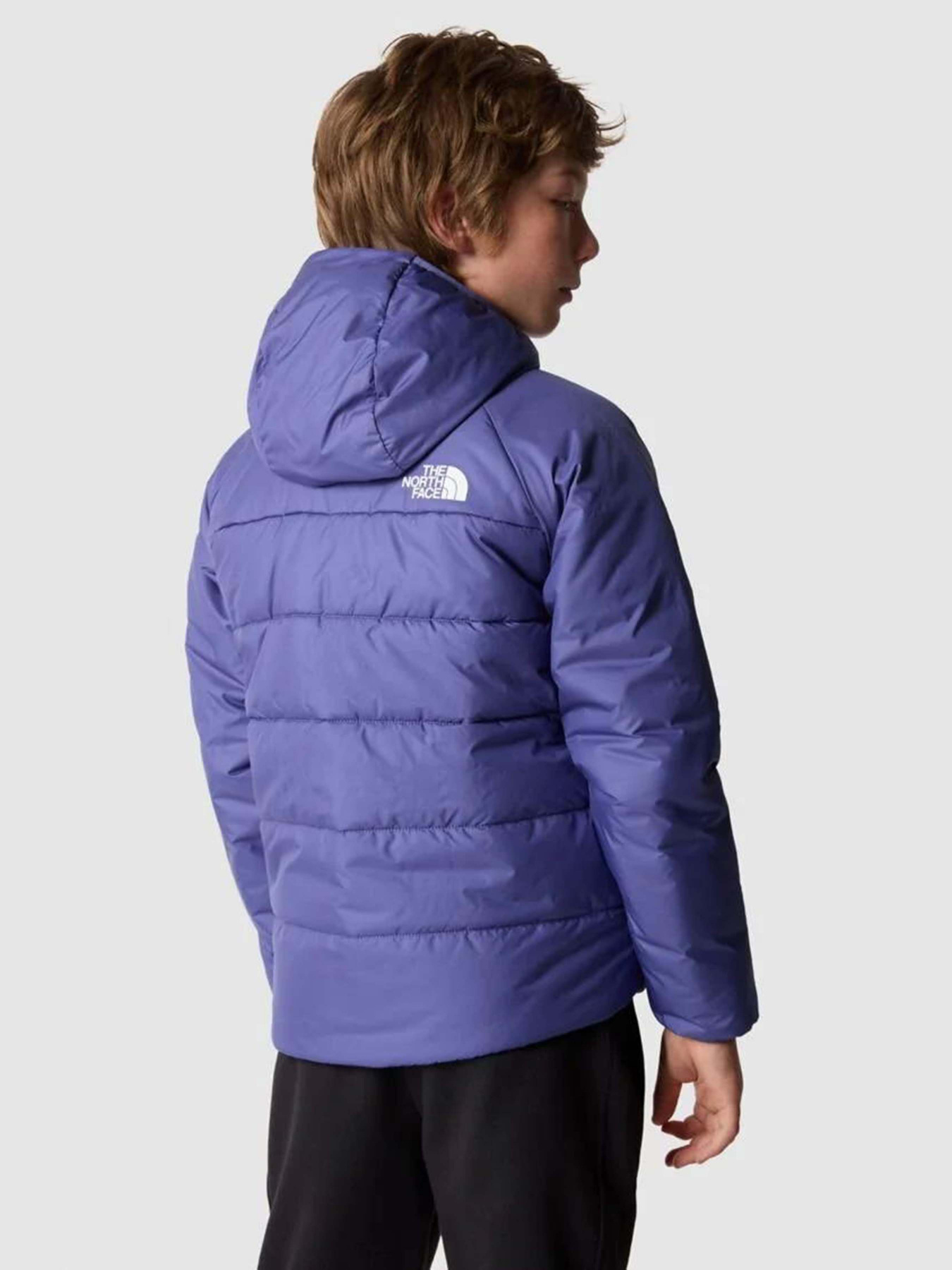 Зимняя куртка The North Face Reversible Perrito модель NF0A82DAOSX1 Фото