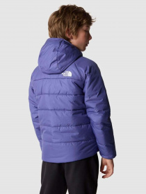 Зимняя куртка The North Face Reversible Perrito модель NF0A82DAOSX1 Фото