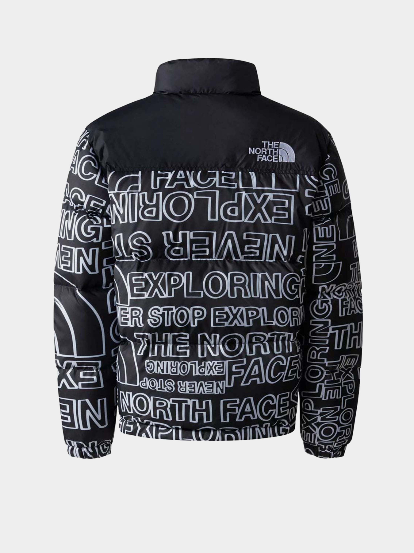 Зимняя куртка The North Face 1996 Retro Nuptse модель NF0A82UDORI1 Зимняя куртка The North Face 1996 Retro Nuptse модель NF0A82UDORI1 Фото