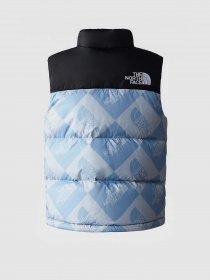 Жилет с утеплителем The North Face 1996 RETRO NUPTSE модель NF0A82WXO3I1 Фото