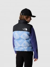 Утепленный жилет The North Face 1996 RETRO NUPTSE модель NF0A82WXO3I1 Фото