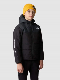 Сірий - Демісезонна куртка The North Face Never Stop Synthetic