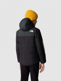 Демісезонна куртка The North Face Never Stop Synthetic модель NF0A85570C51 Фото