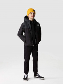Демісезонна куртка The North Face Never Stop Synthetic модель NF0A85570C51 Фото