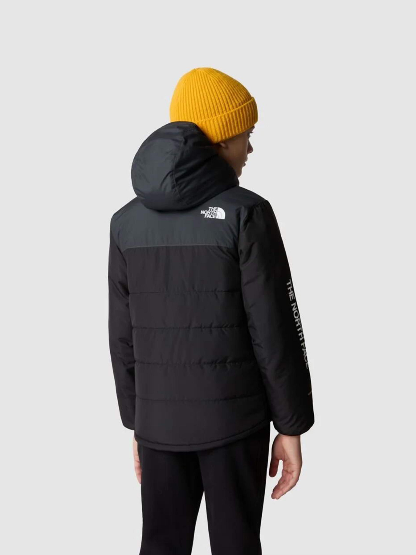 Демісезонна куртка The North Face Never Stop Synthetic модель NF0A85570C51 Фото