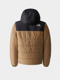 Демісезонна куртка The North Face Never Stop Synthetic модель NF0A8557KOM1 Фото