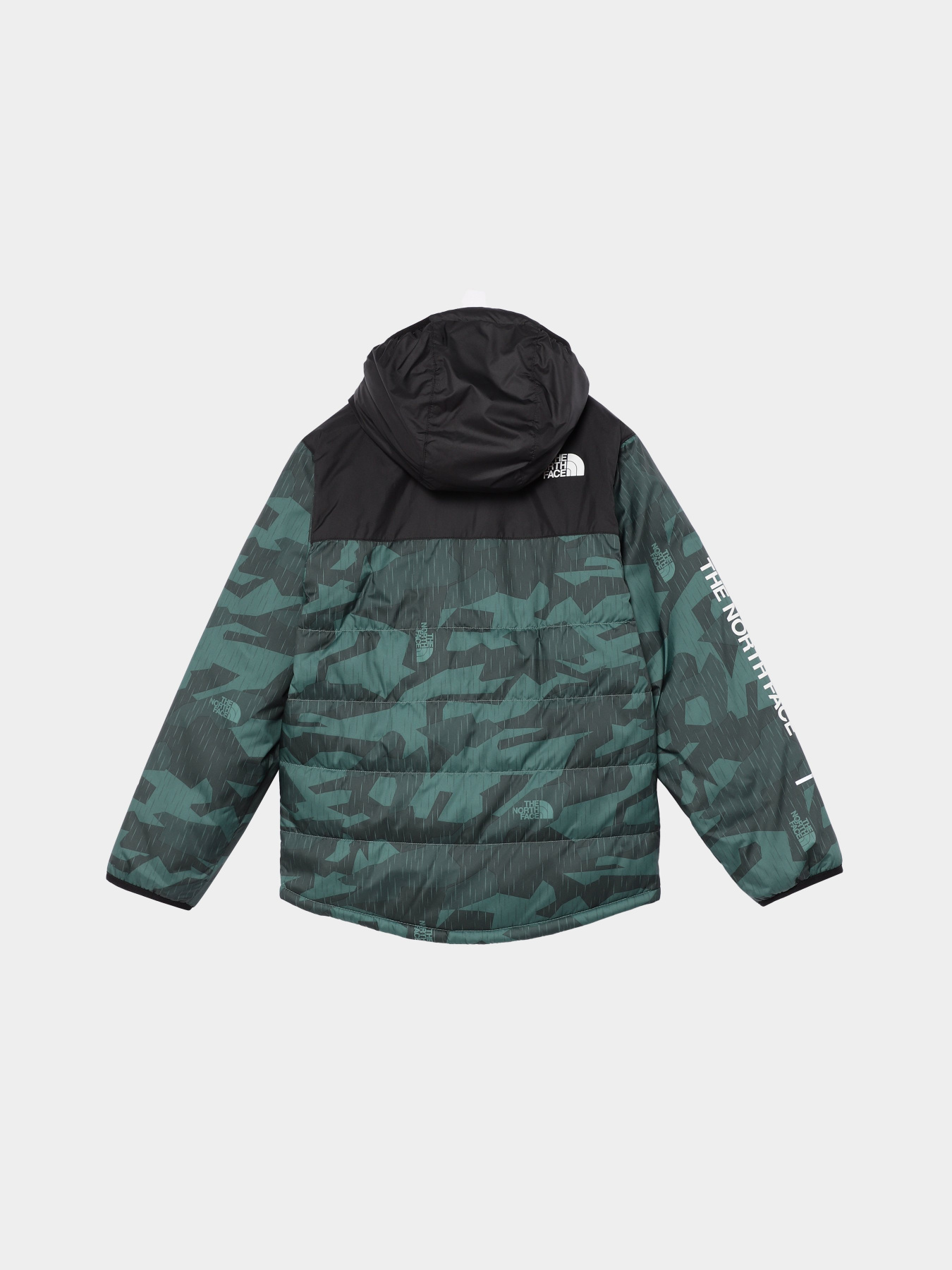 Демисезонная куртка The North Face Never Stop Synthetic модель NF0A8557O2V1 Фото