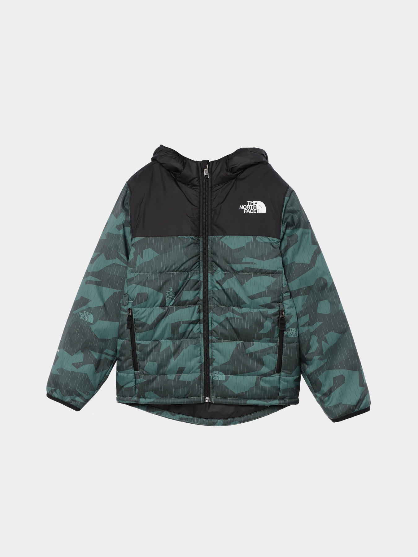 Демисезонная куртка The North Face Never Stop Synthetic модель NF0A8557O2V1 Фото