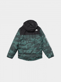 Демисезонная куртка The North Face Never Stop Synthetic модель NF0A8557O2V1 Фото