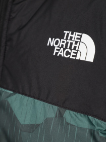 Демисезонная куртка The North Face Never Stop Synthetic модель NF0A8557O2V1 Фото