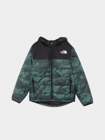Демисезонная куртка The North Face Never Stop Synthetic модель NF0A8557O2V1 Фото