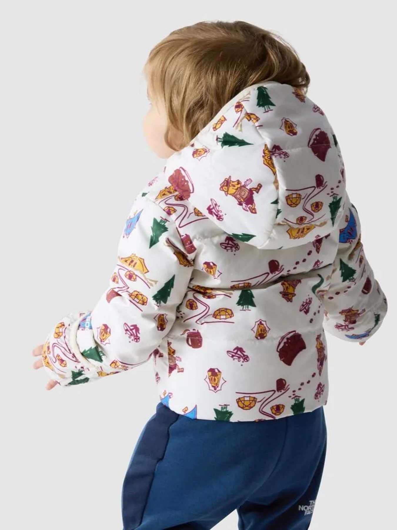 Пуховик The North Face North Down Hooded модель NF0A7UMKOOZ1 Фото