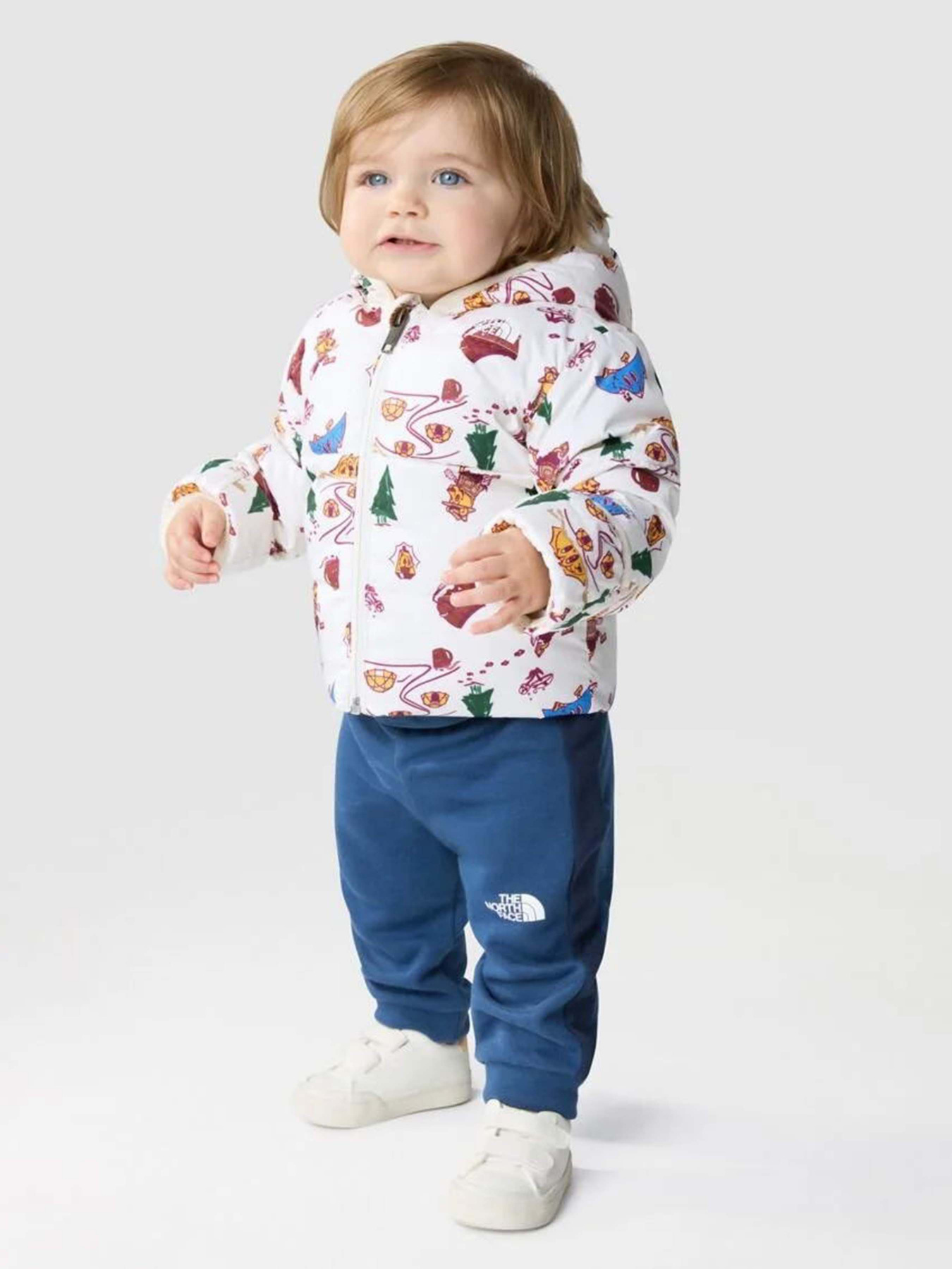 Пуховик The North Face North Down Hooded модель NF0A7UMKOOZ1 Фото