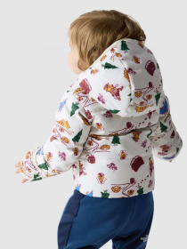 Пуховик The North Face North Down Hooded модель NF0A7UMKOOZ1 Фото