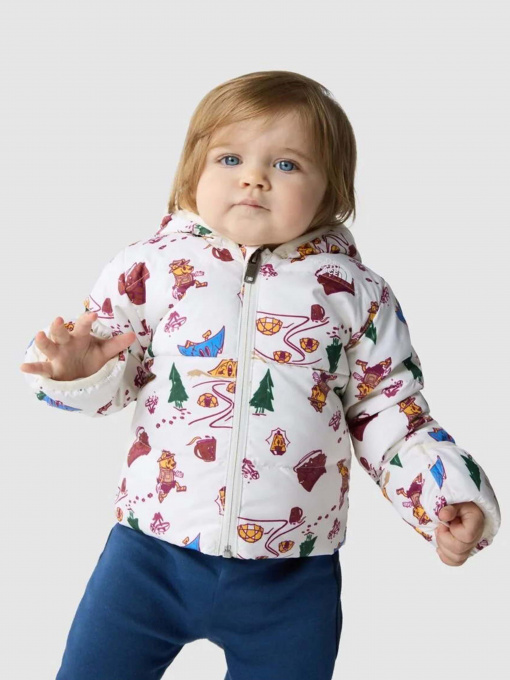 Пуховик The North Face North Down Hooded модель NF0A7UMKOOZ1 Фото