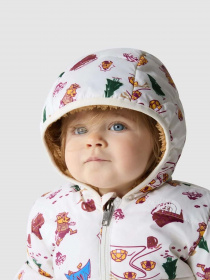 Пуховик The North Face North Down Hooded модель NF0A7UMKOOZ1 Фото