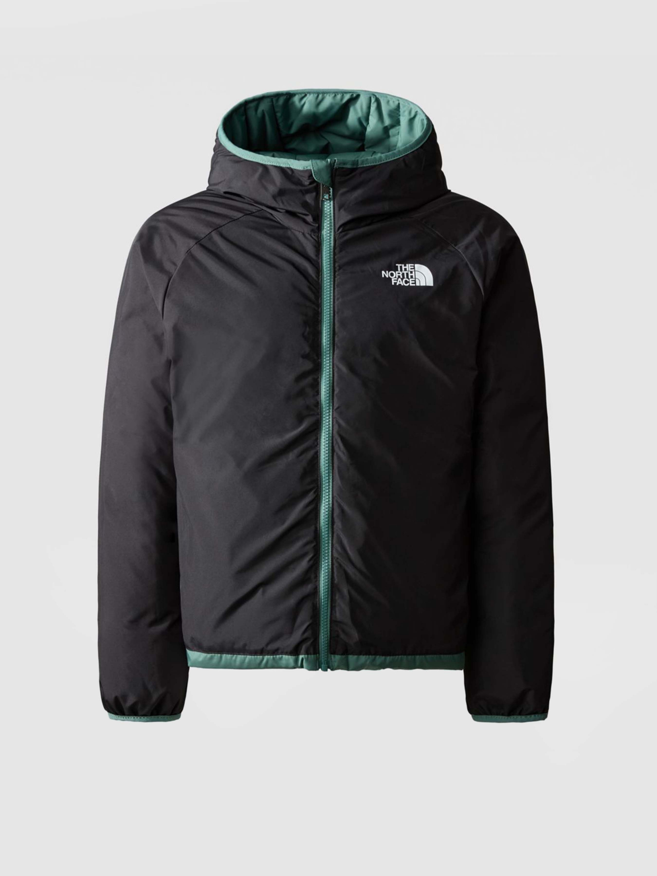 Пуховик The North Face REVERSIBLE NORTH модель NF0A82XZI0F1 Фото
