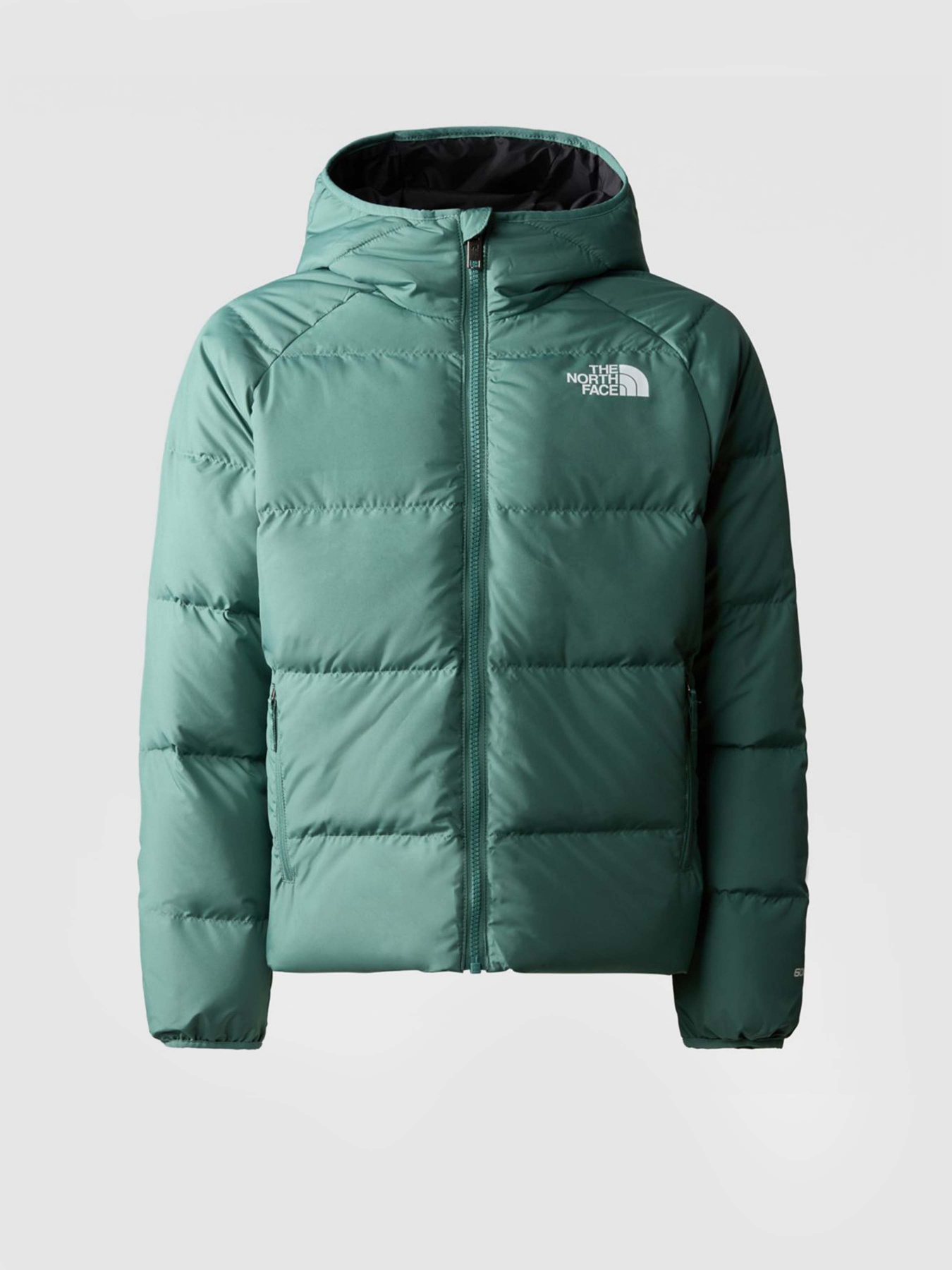 Пуховик The North Face REVERSIBLE NORTH модель NF0A82XZI0F1 Фото