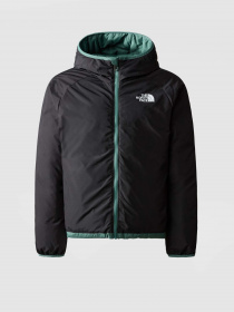 Пуховик The North Face REVERSIBLE NORTH модель NF0A82XZI0F1 Фото