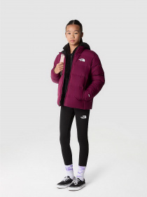 Пуховик The North Face REVERSIBLE NORTH DOWN модель NF0A82YUI0H1 Фото