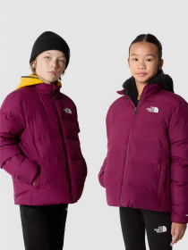 Пуховик The North Face REVERSIBLE NORTH DOWN модель NF0A82YUI0H1 Фото