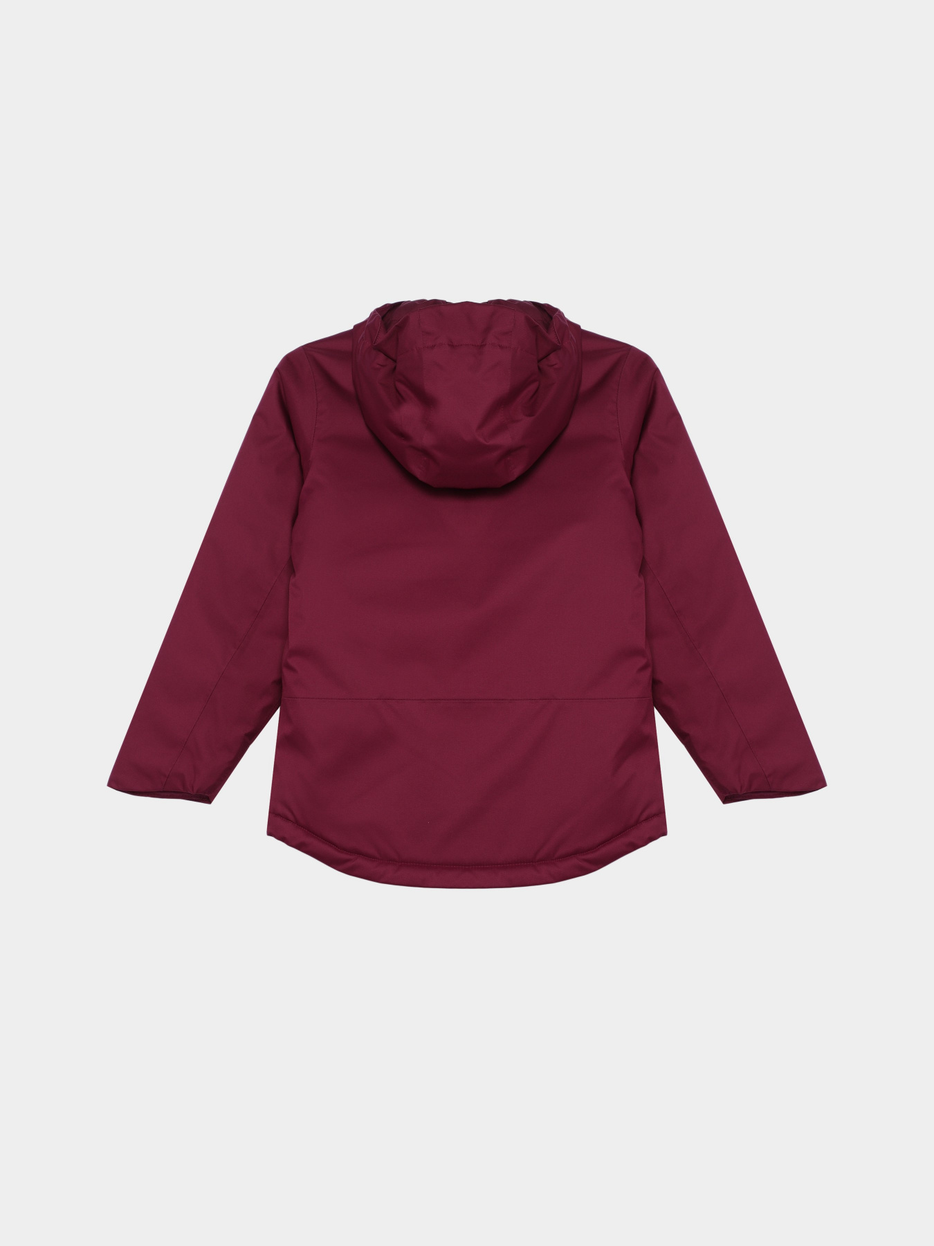 Демісезонна куртка The North Face Freedom Insulated модель NF0A82Y6I0H1 Фото