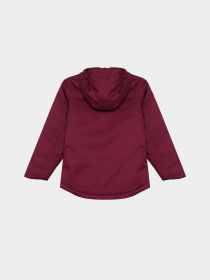 Демісезонна куртка The North Face Freedom Insulated модель NF0A82Y6I0H1 Фото