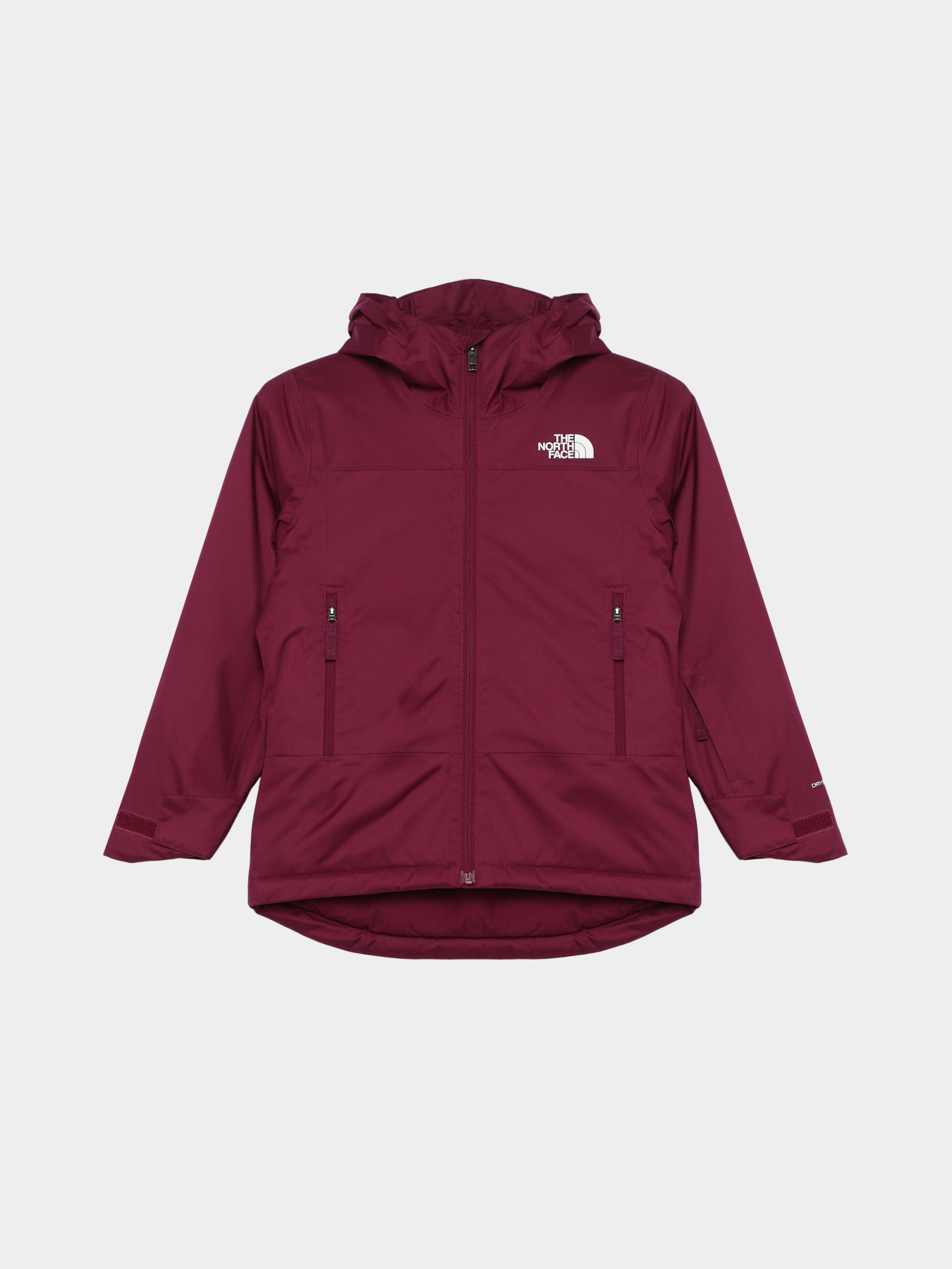 Демисезонная куртка The North Face Freedom Insulated модель NF0A82Y6I0H1 Фото