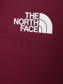 Демисезонная куртка The North Face Freedom Insulated модель NF0A82Y6I0H1 Фото