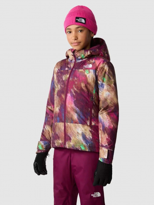 Демисезонная куртка The North Face Freedom Insulated модель NF0A82Y6OME1 Фото