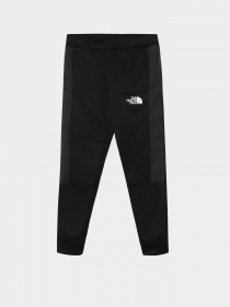 Штаны спортивные The North Face Mountain Athletics модель NF0A82E5JK31 Фото