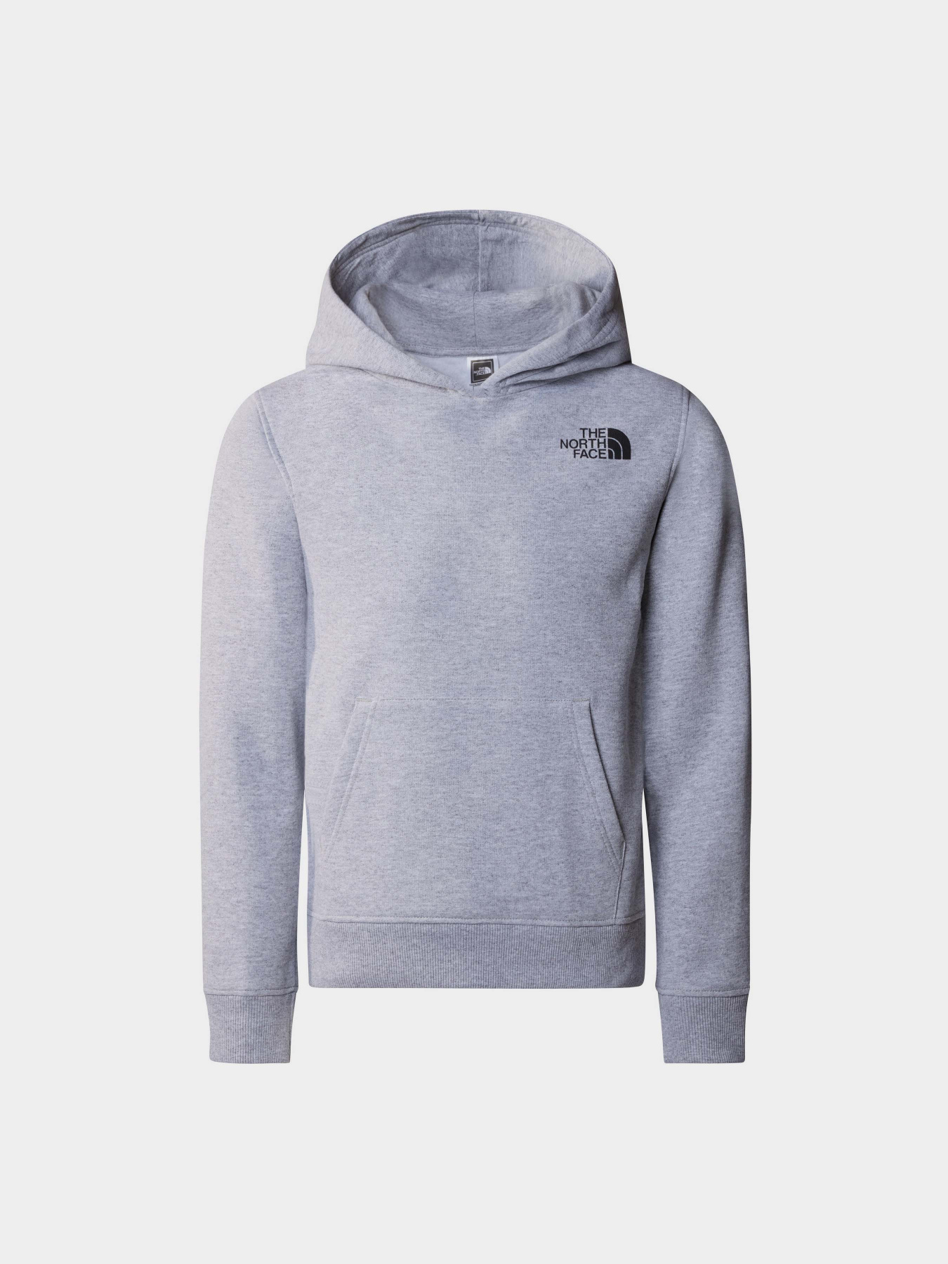 Худи The North Face Teen New Graphic Hoodie модель NF0A877VDYX1 Фото