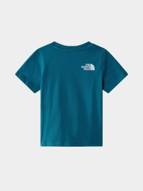 Футболка The North Face Outdoor Graphic Модель NF0A8784YBI1 Фото