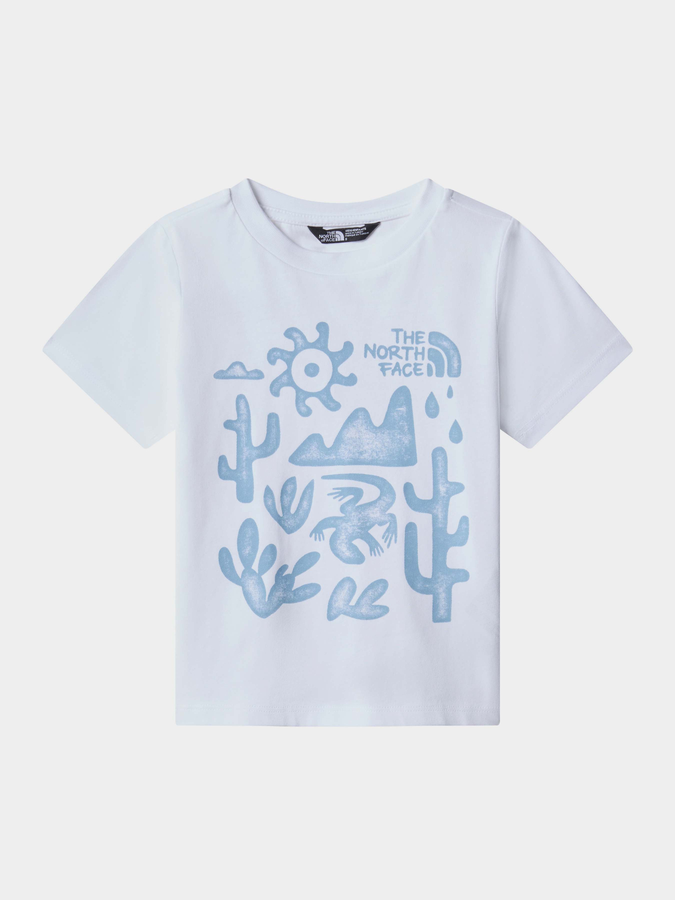 Футболка The North Face Outdoor Graphic Модель NF0A8784XWO1 Фото