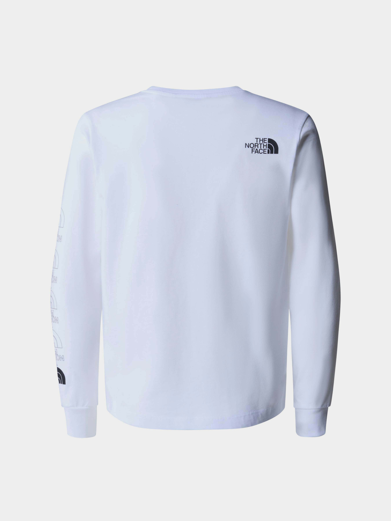 Лонгслів The North Face New Graphic модель NF0A87BBFN41 Фото