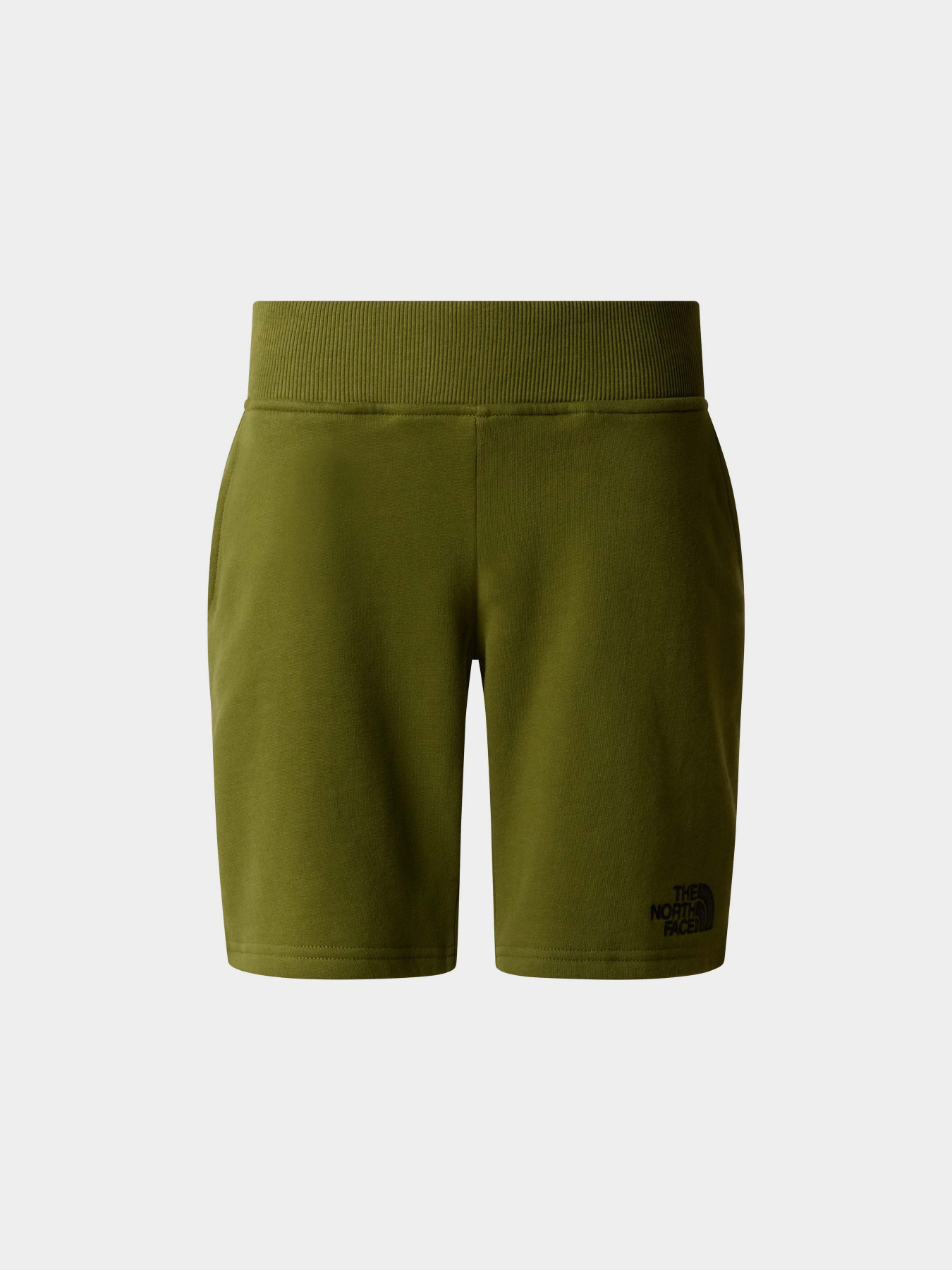 Шорты спортивные The North Face Cotton Shorts модель NF0A89P0PIB1 Фото