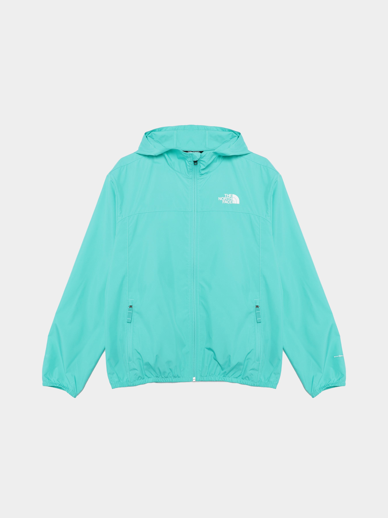 Ветровка The North Face Never Stop модель NF0A86TQPIN1 Фото