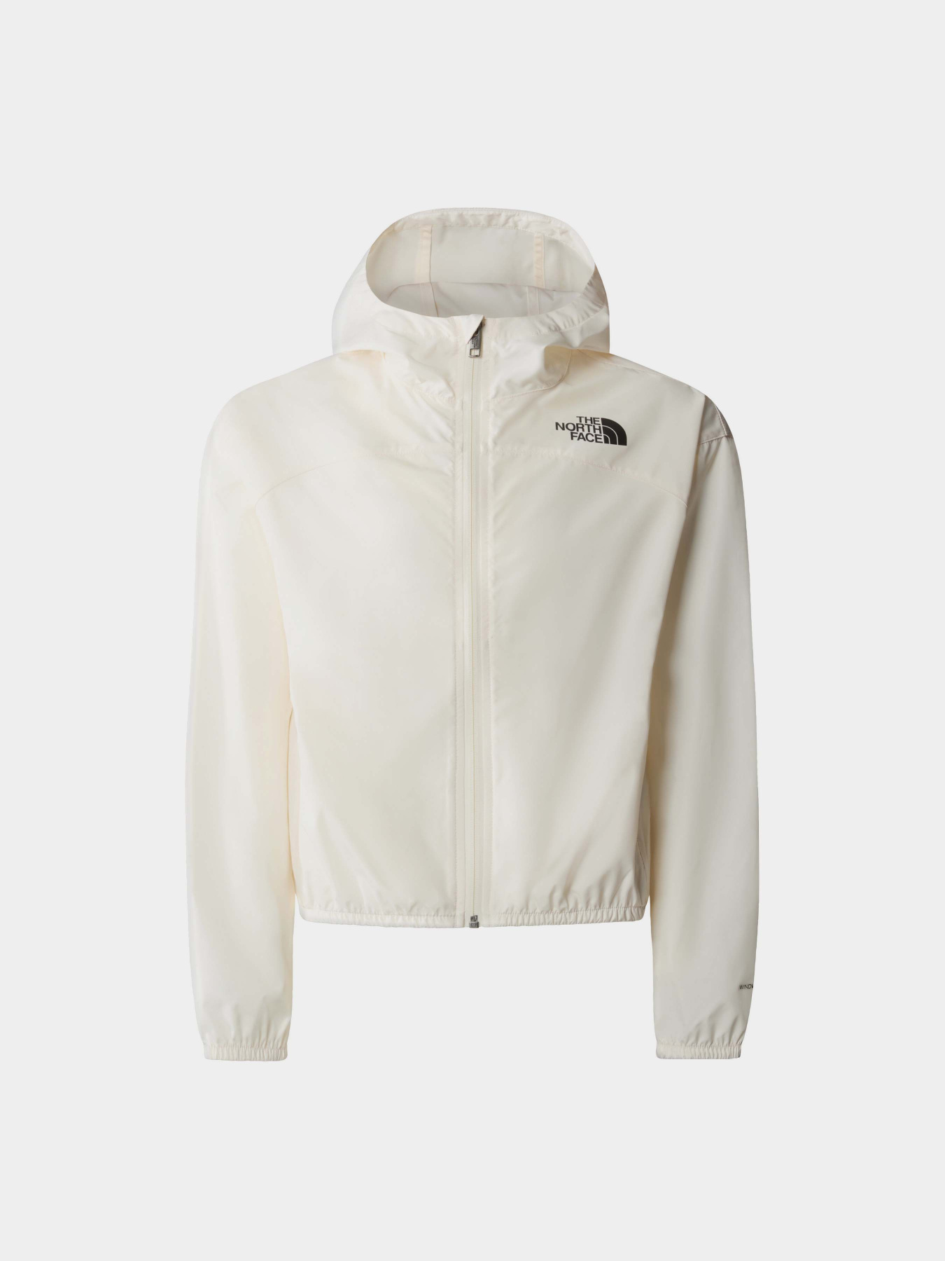 Ветровка The North Face Never Stop Hooded Windwall™ модель NF0A86TVQLI1 Ветровка The North Face Never Stop Hooded Windwall™ модель NF0A86TVQLI1 Фото