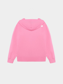 Кофта The North Face G Fz Oversize Light Hoodie модель NF0A877QPIH1 Фото