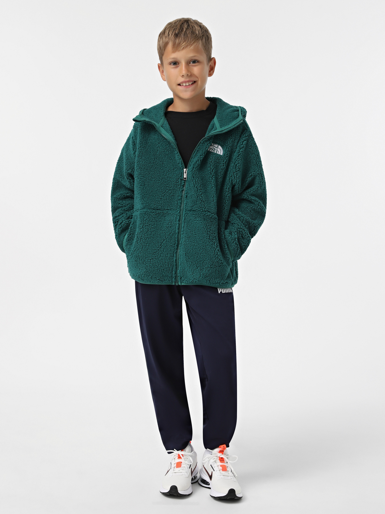 Кофта The North Face Campshire модель NF0A89KBNL11 Фото