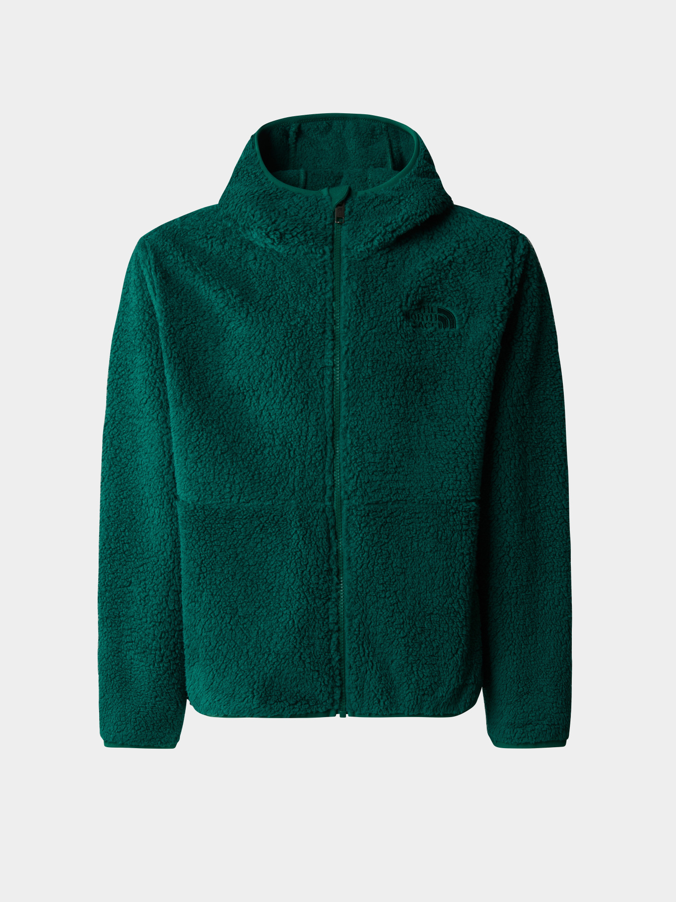 Кофта The North Face Campshire модель NF0A89KBNL11 Фото