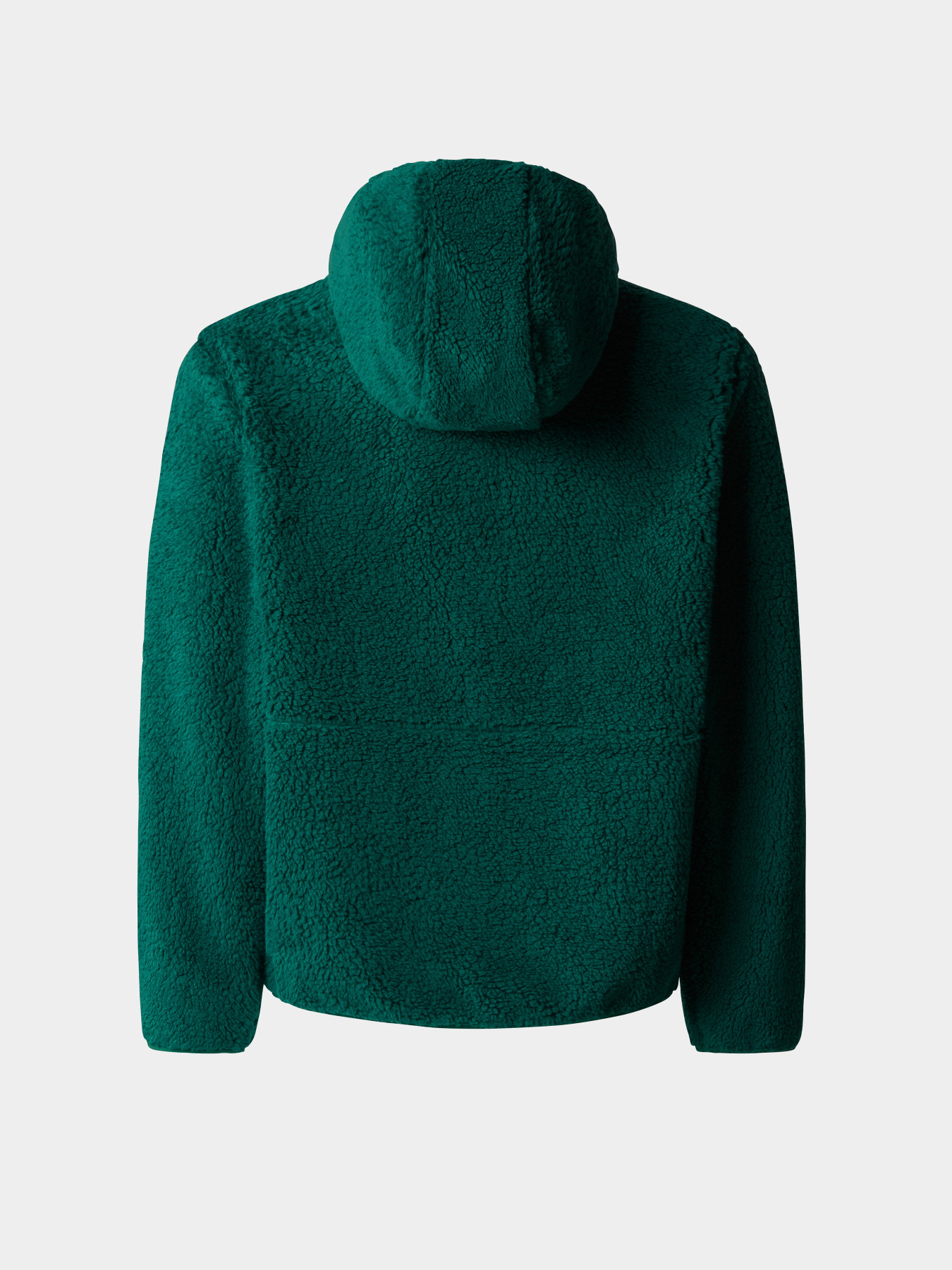 Кофта The North Face Campshire модель NF0A89KBNL11 Фото