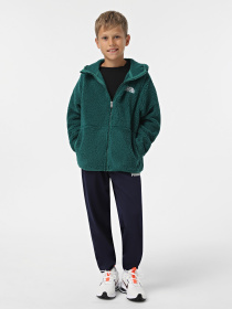 Кофта The North Face Campshire модель NF0A89KBNL11 Фото